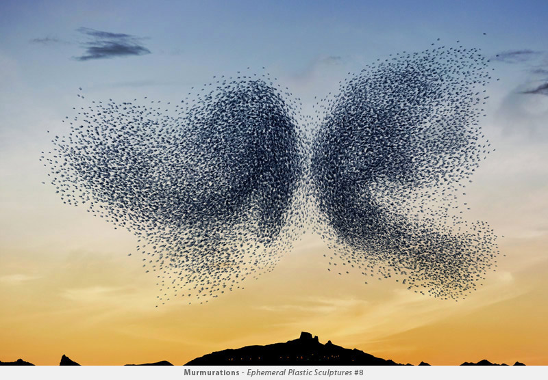 Illustration for article titled Photographer transforms plastic bags into beautiful bird flocks